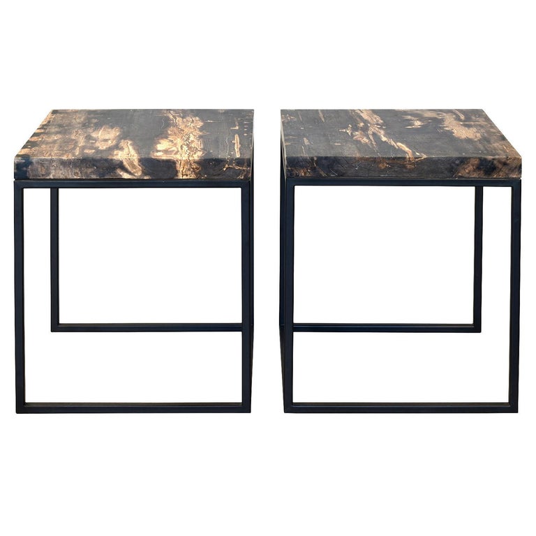 Set of two side tables with petrified wood tabletops from Indonesia

The petrified wood slab tabletop is from a millions of years old Indonesian fossilized rainforest. The table frame is black painted metal.

Petrified wood is a fossilized organic