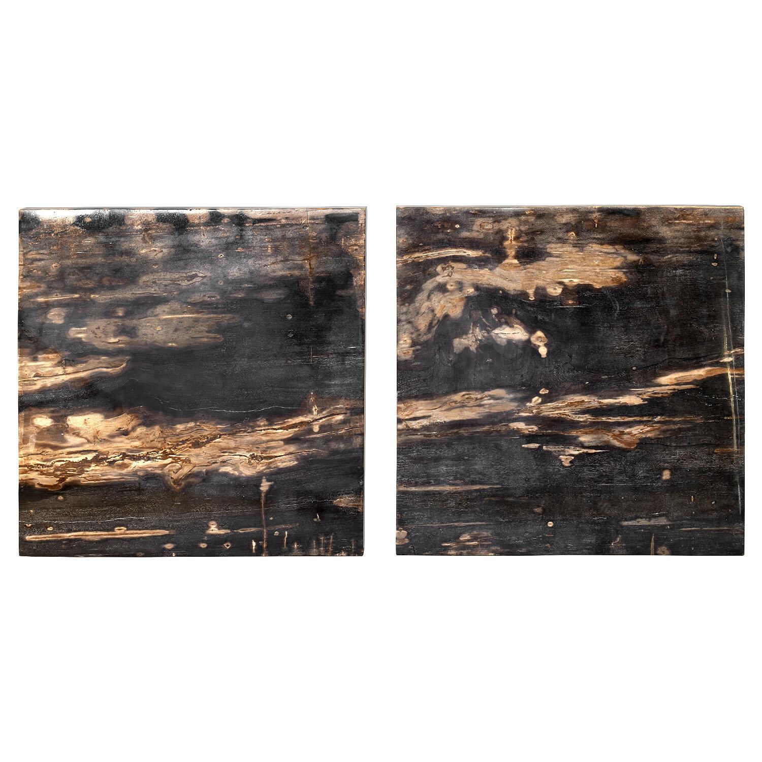 Other Set of Two Side Tables with Petrified Wood Tabletops from Indonesia For Sale