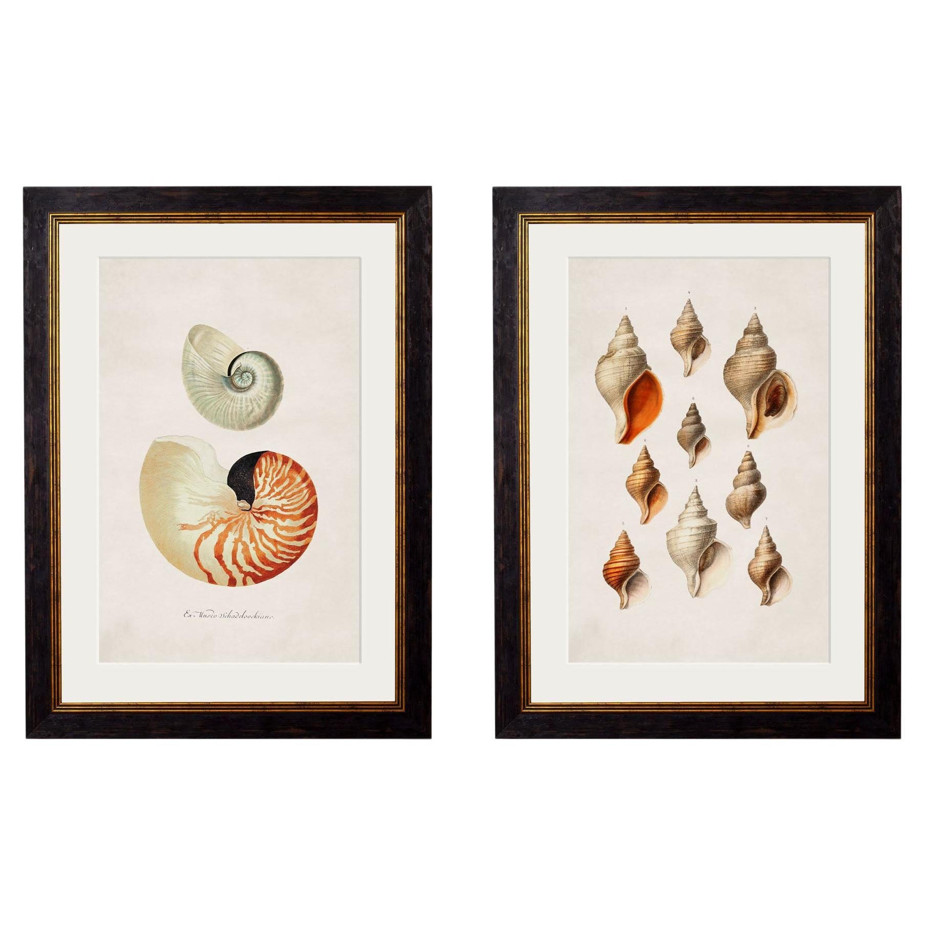 New And Custom Prints