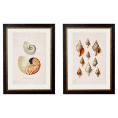 Prints