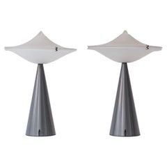 Set of Two Table Lamps by Luciano Cesaro for Tre Ci Luce, Italy 1980s