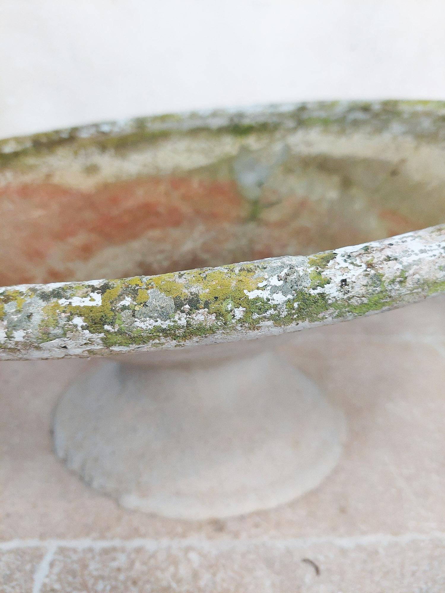 Set of Two Tilted Concrete Planters by the Swiss Architect Willy Guhl 1950s 9