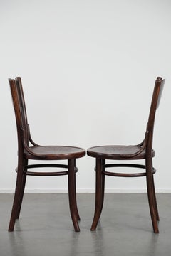 Set of two timeless vintage wooden Cosmos bistro design chairs