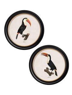 Set of TWO Toucan Prints in Circular Frames from early 19thC originals, New