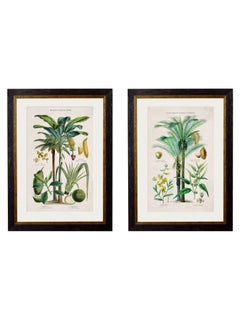 Set of TWO Tropical Plants Framed Prints from 19thC originals, New