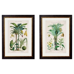 Prints