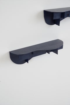 set of two unique Copytopia Wall Shelf by Pierre Castignola in  blue plastic