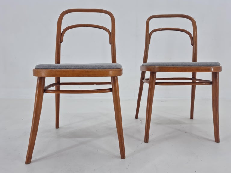 Set of Two Very Rare Bentwood Chairs, Antonín Šuman, 1960s For Sale 3