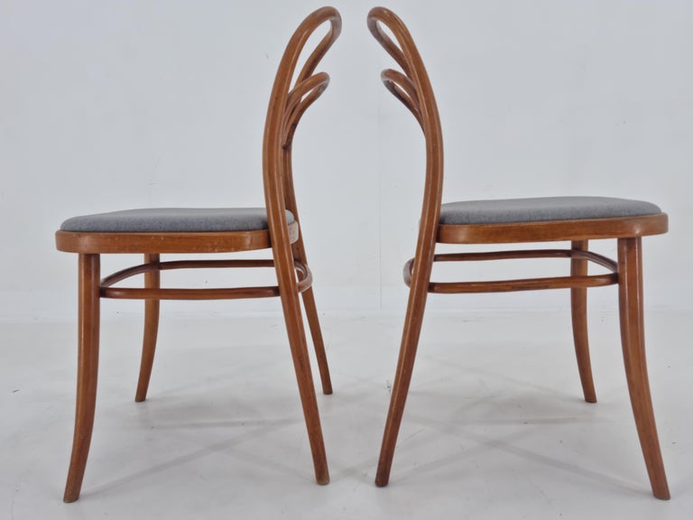 Czech Set of Two Very Rare Bentwood Chairs, Antonín Šuman, 1960s For Sale
