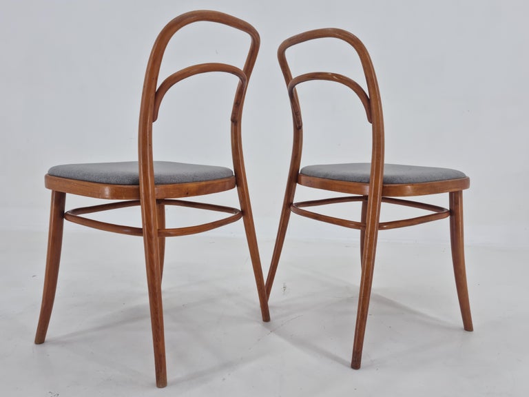 Set of Two Very Rare Bentwood Chairs, Antonín Šuman, 1960s In Good Condition For Sale In Praha, CZ