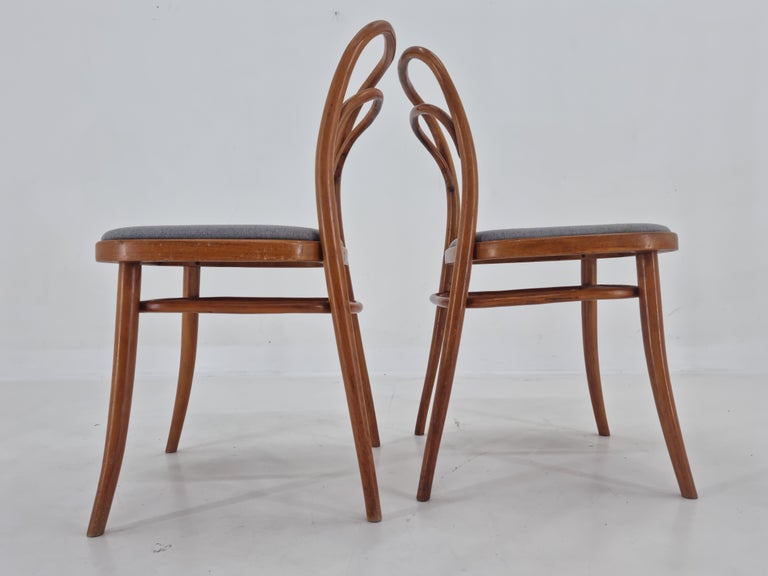 Set of Two Very Rare Bentwood Chairs, Antonín Šuman, 1960s For Sale 2