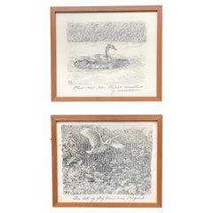 Ensemble de deux gravures originales danoises à l'encre noire d'un cygne dans des cadres en bois