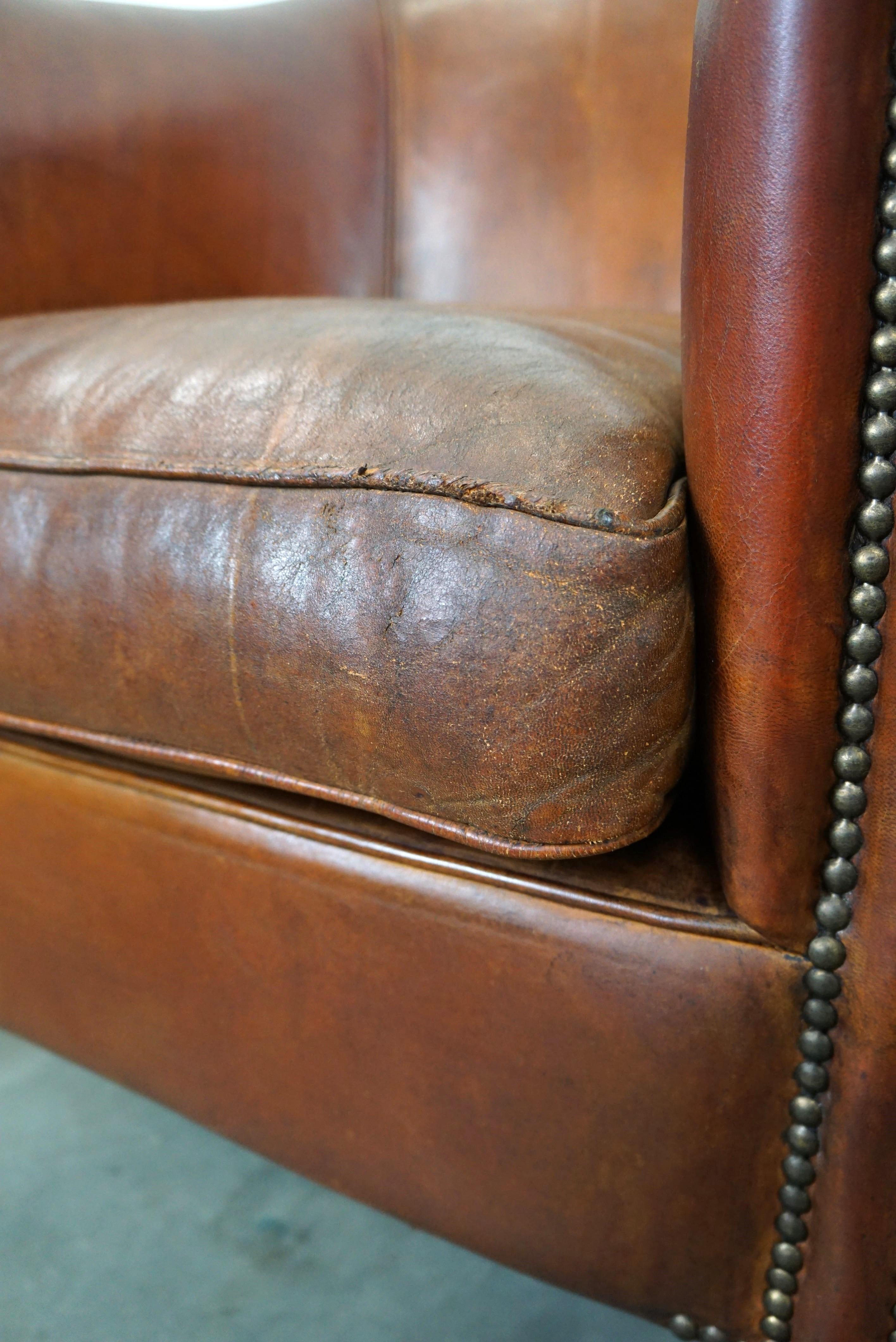 Ensemble de deux fauteuils club vintage en cuir de mouton au caractère robuste 3
