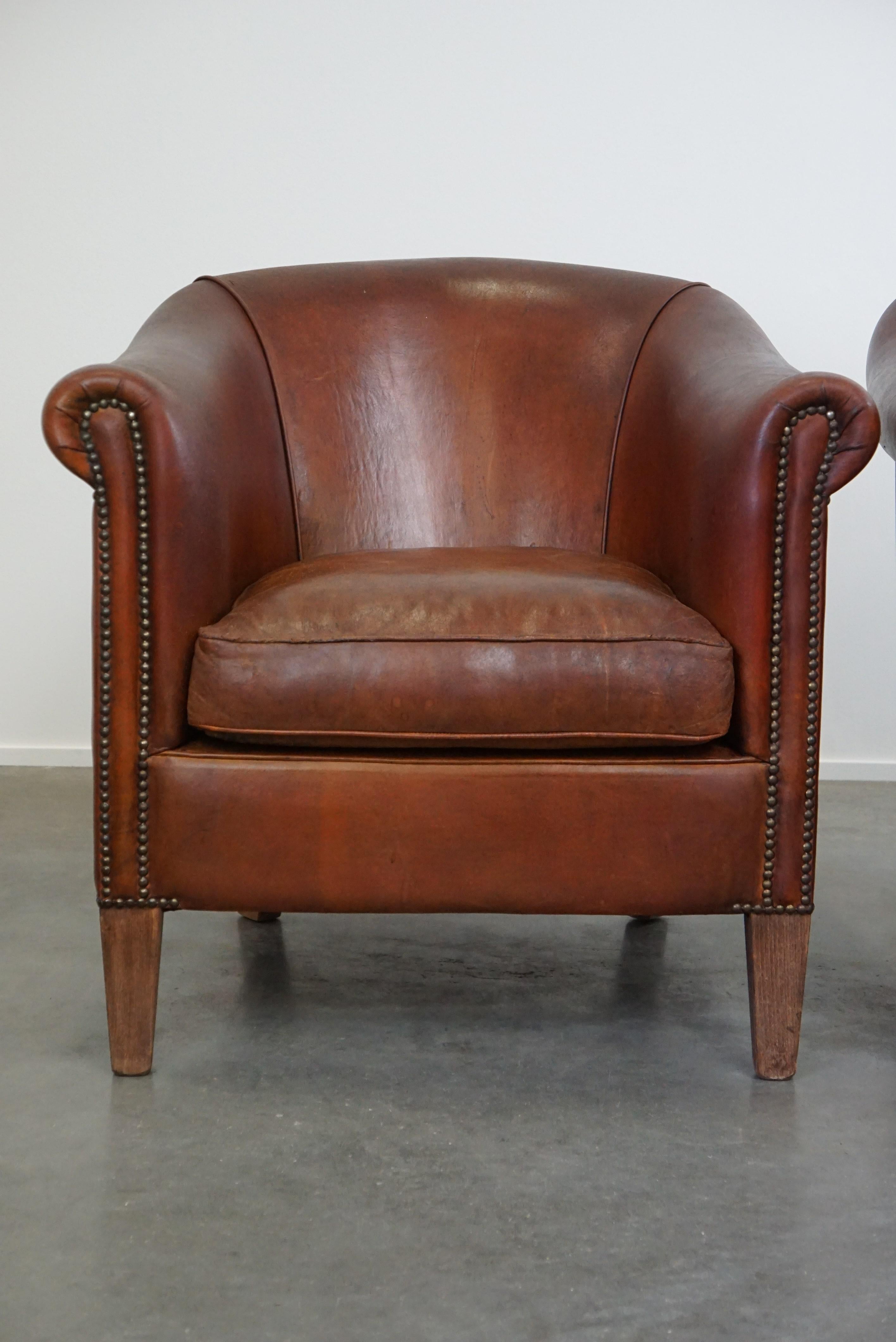 Contemporary Set of two vintage sheep leather club armchairs with a rugged character For Sale