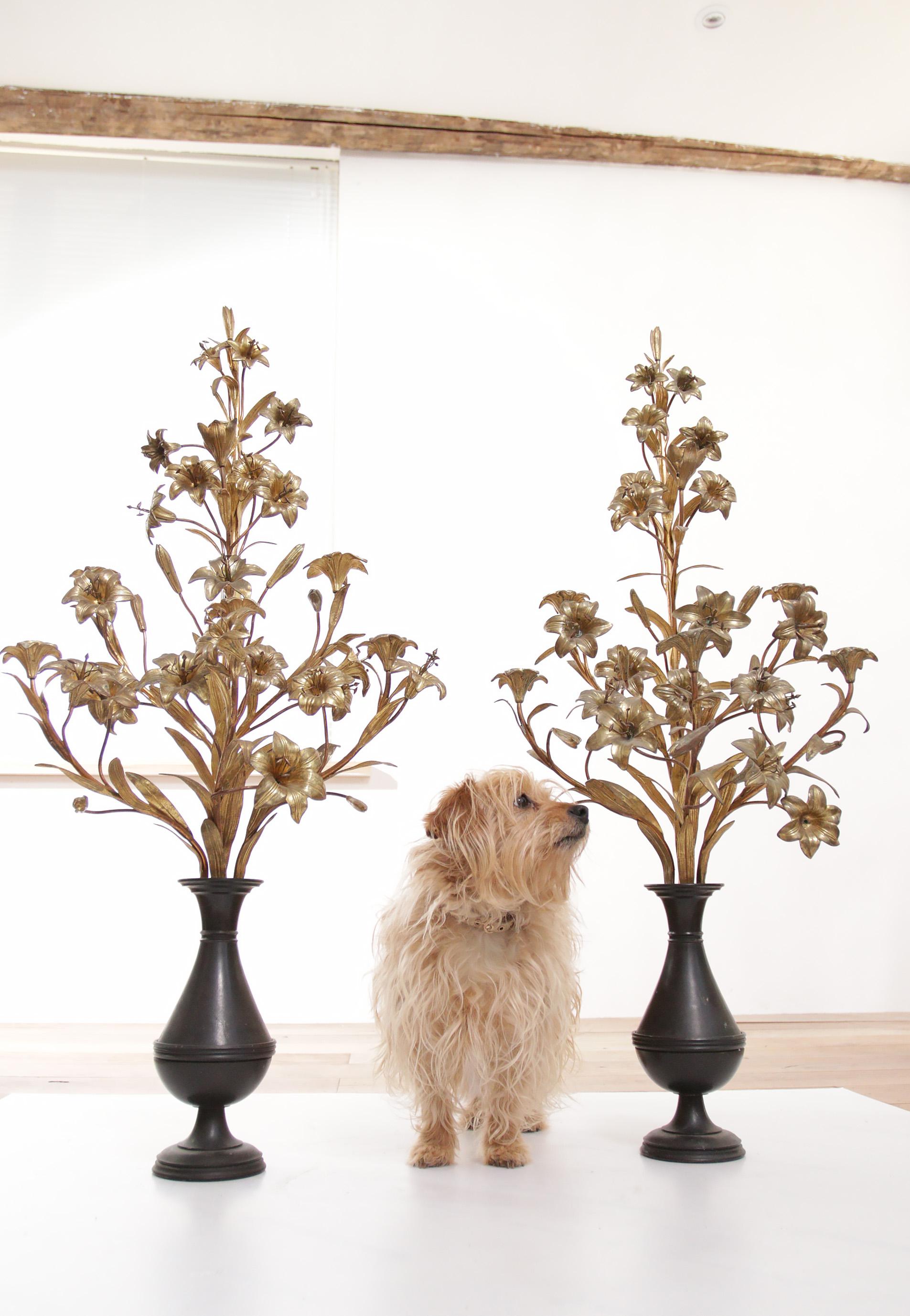 Set of Two XL French Gilt Flowers Candelabra's Church Candlesticks 1