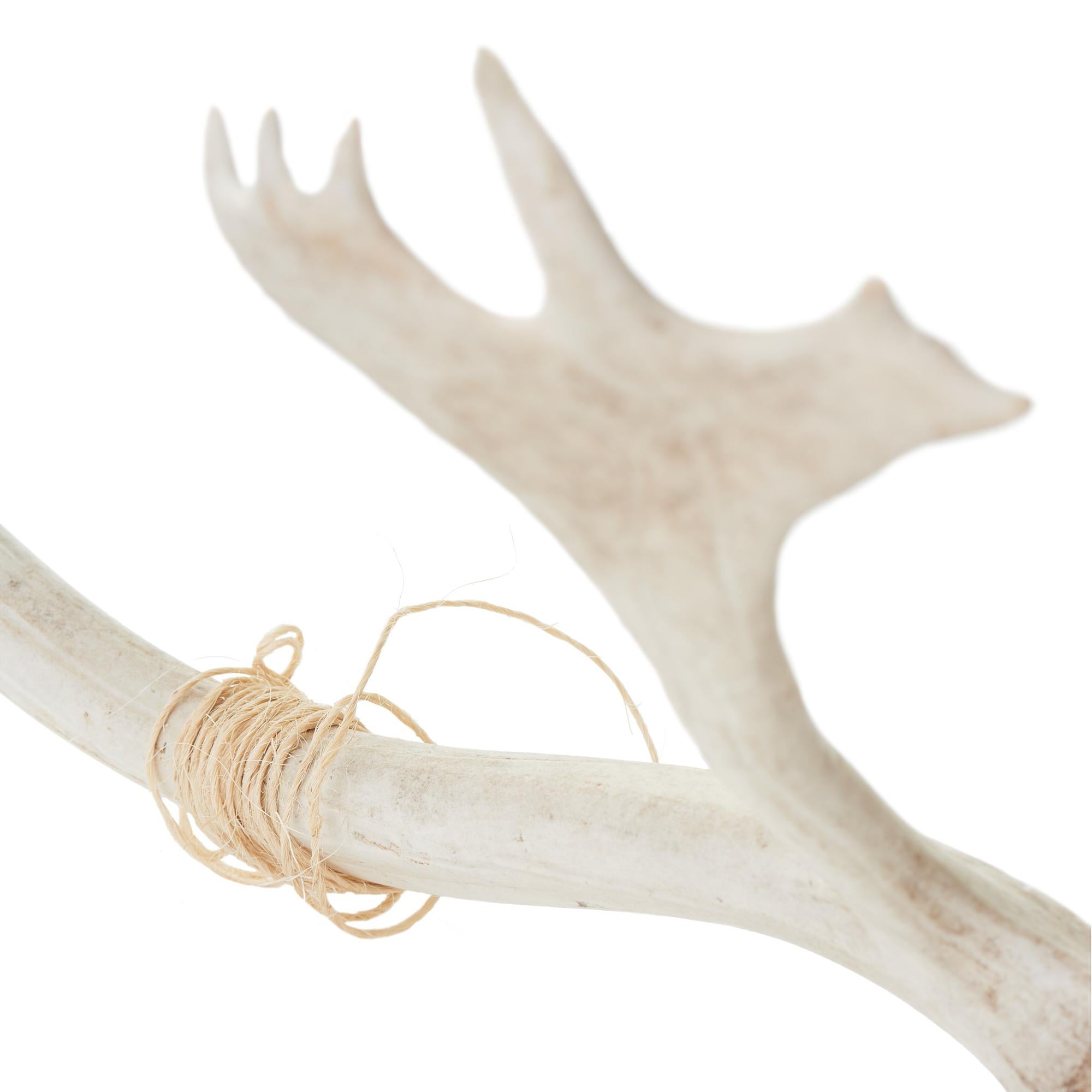 Set of Vintage Caribou Antlers with Twine In Good Condition In Chicago, IL
