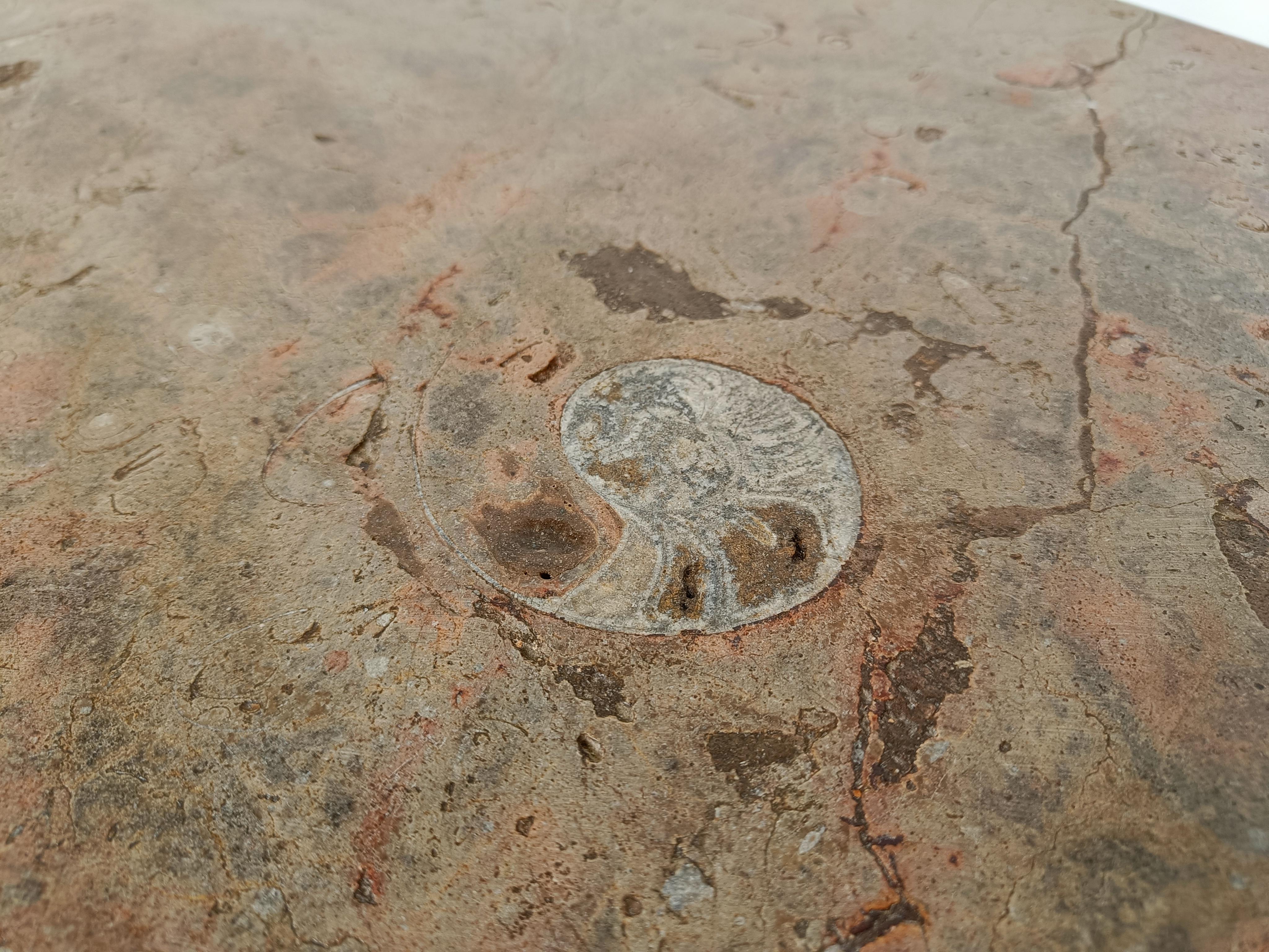 Set of vintage fossil stone table, 1990s 6