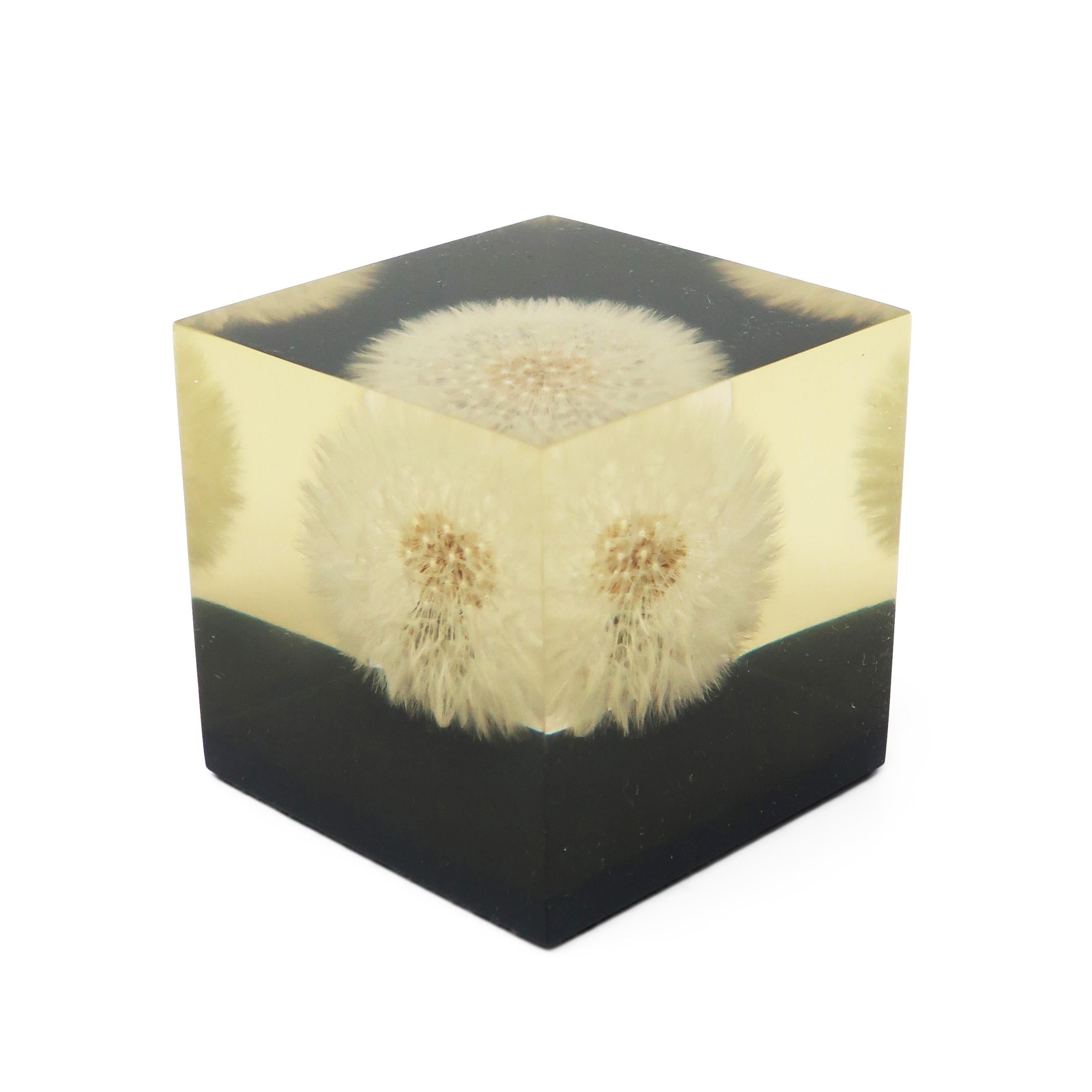 Postmoderne Ensemble de presse-papiers vintage encastrés en lucite en vente