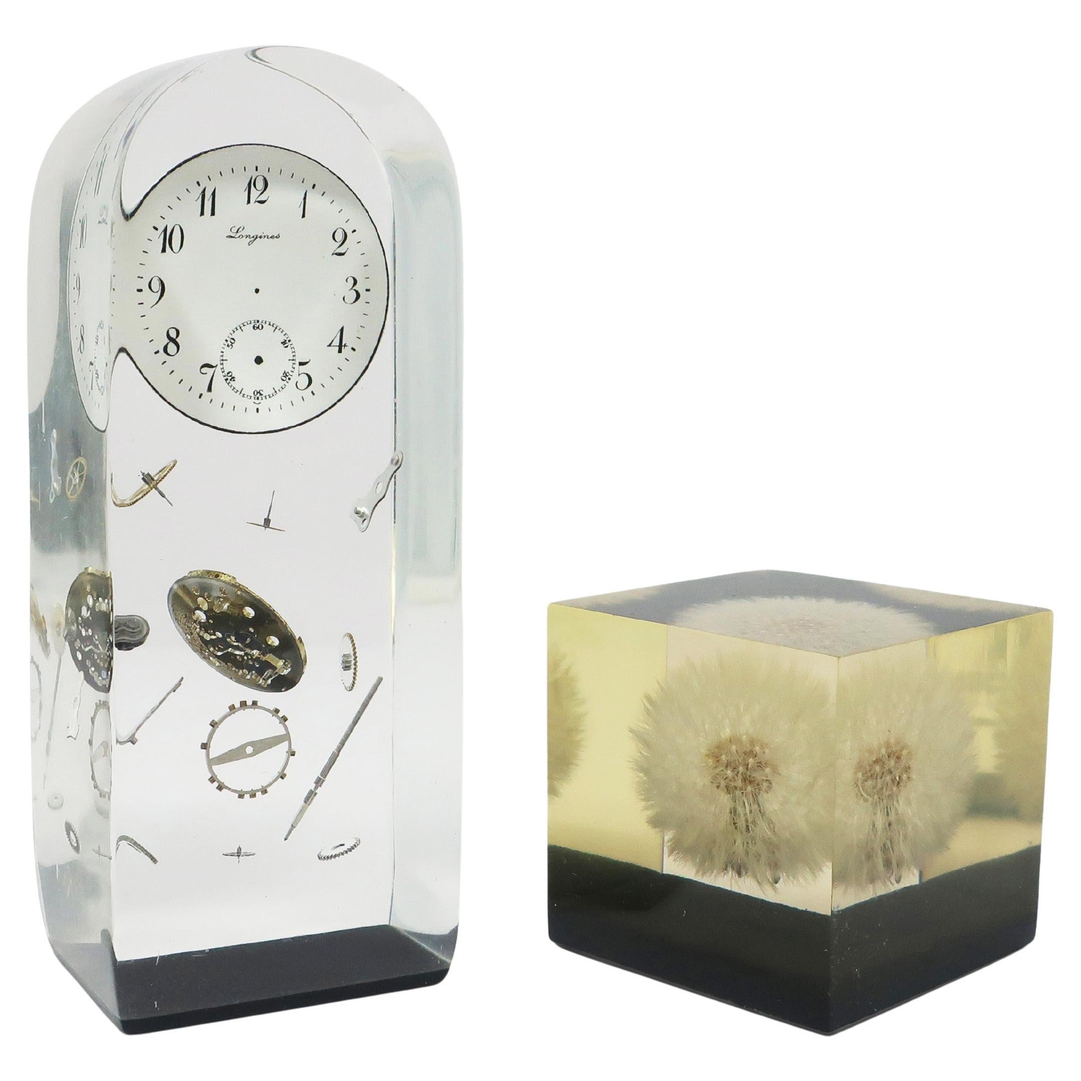 Set of Vintage Lucite Encased Paperweights