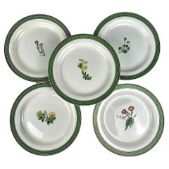 Set of Wedgwood Dinner Plates and Salad Plates England Circa 1850