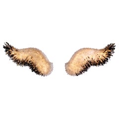 Unique Set of Wings Crystal and Brass Wall Sconce by Christopher Boots