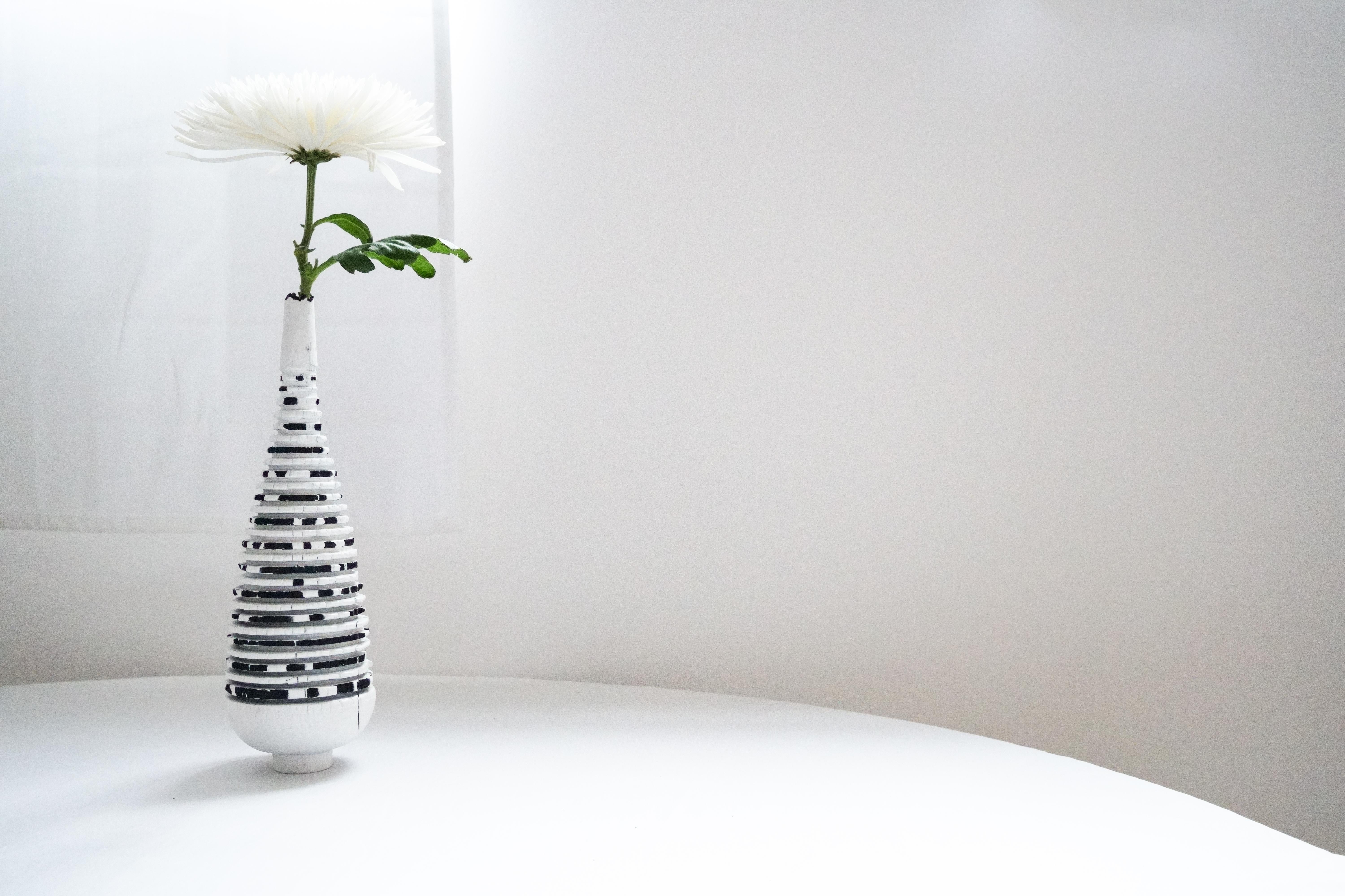 Set of Zebra Burnt Vase, Large White Vase and Small White Vase by Daniel Elkayam For Sale 2