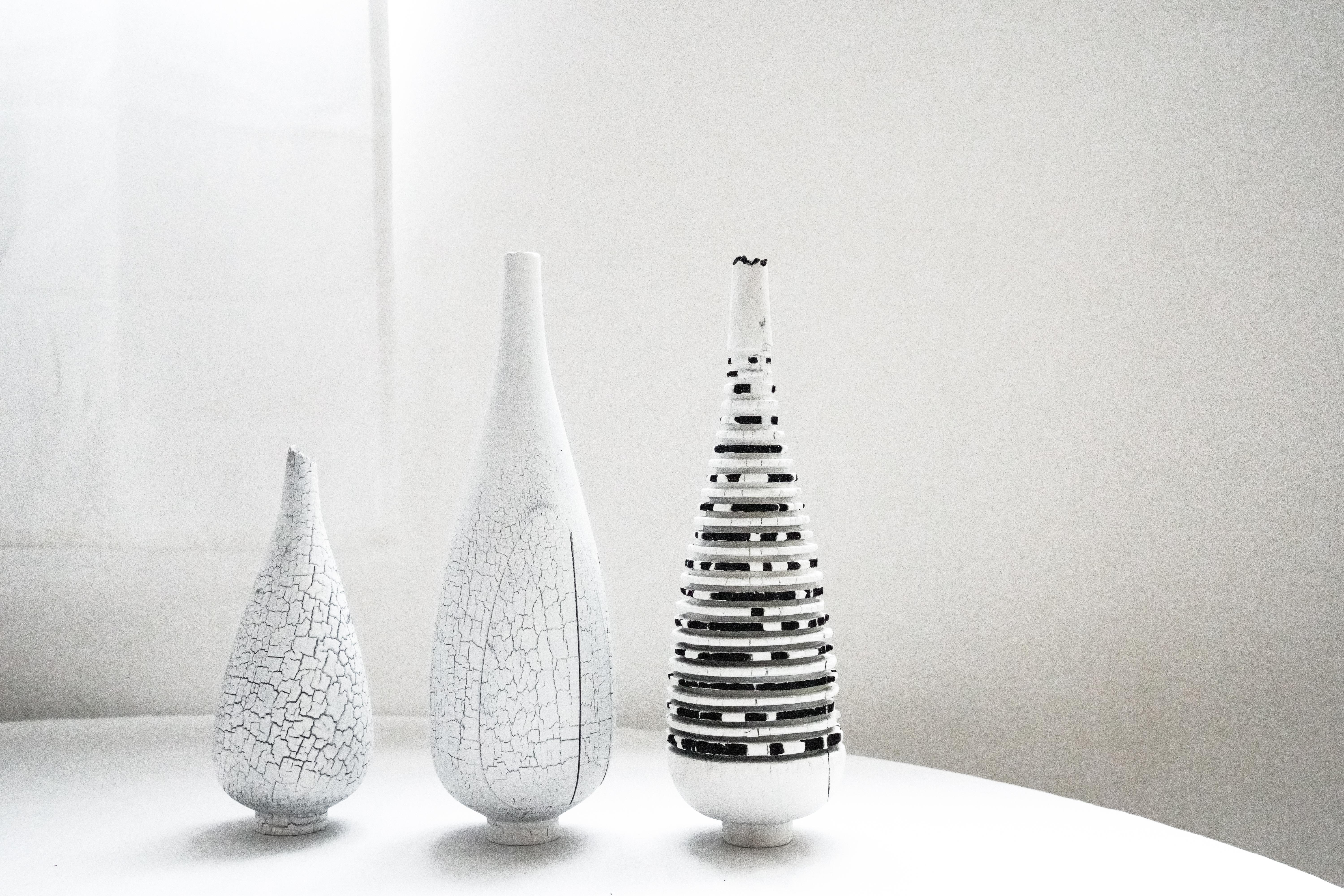 Set di vasi bruciati Zebra, vaso bruciato grande e vaso bruciato piccolo di Daniel Elkayam.
Dimensioni: D 12 x L 12 x H 30 cm (Zebra), D 12 x L 12 x H 30 cm (Large), D 12 x L 12 x H 20 cm (Small)
Materiali: legno di faggio

Daniel Elkayam -