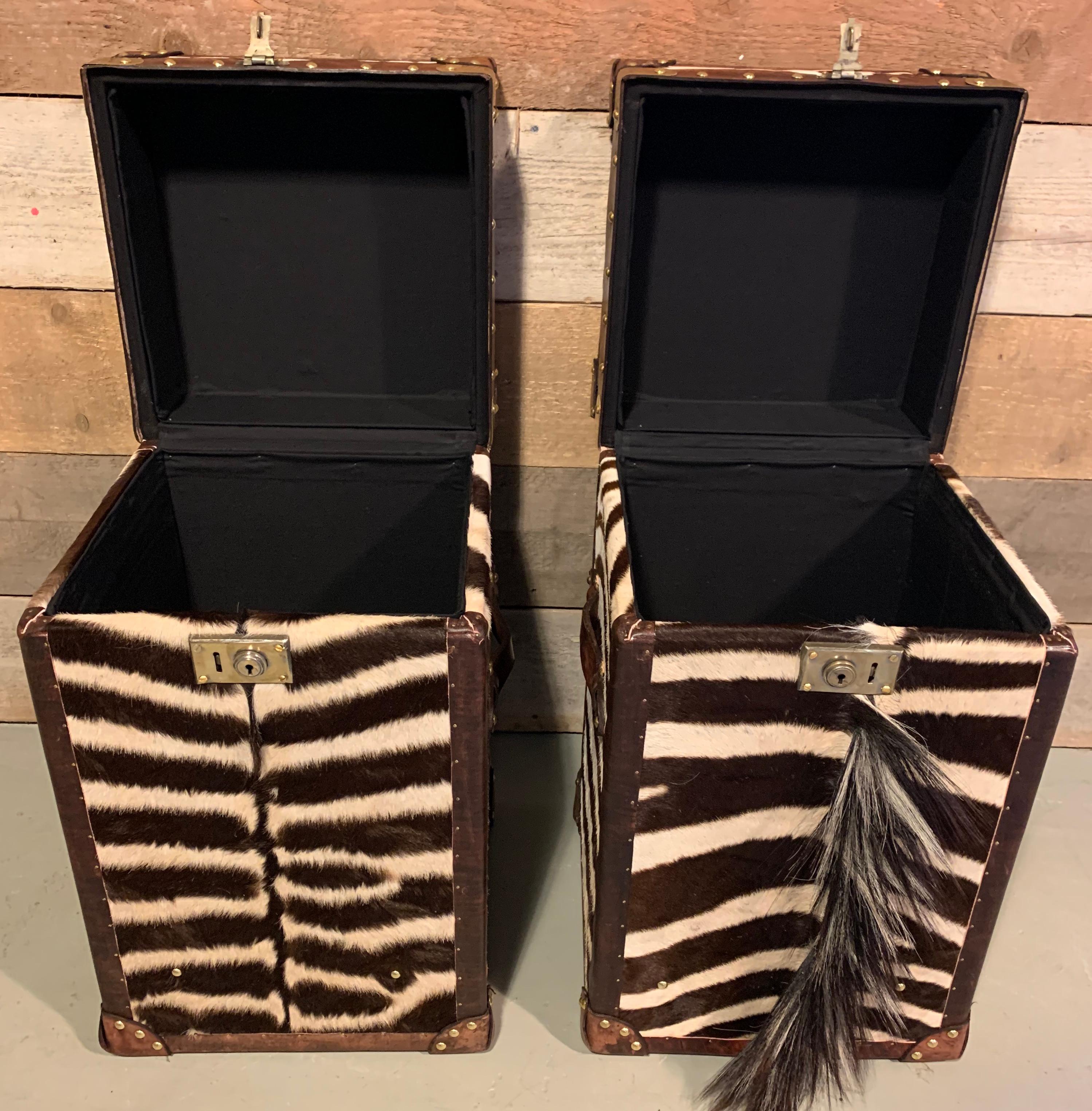 Koffer aus Zebraskin mit braunem Lederbesatz:: die Rückseite ist ebenfalls aus braunem Leder. 
Hübsches Set zum Aufstellen neben einer Couch oder als Nachttisch 


 