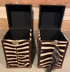 Set of Zebraskin Trunks