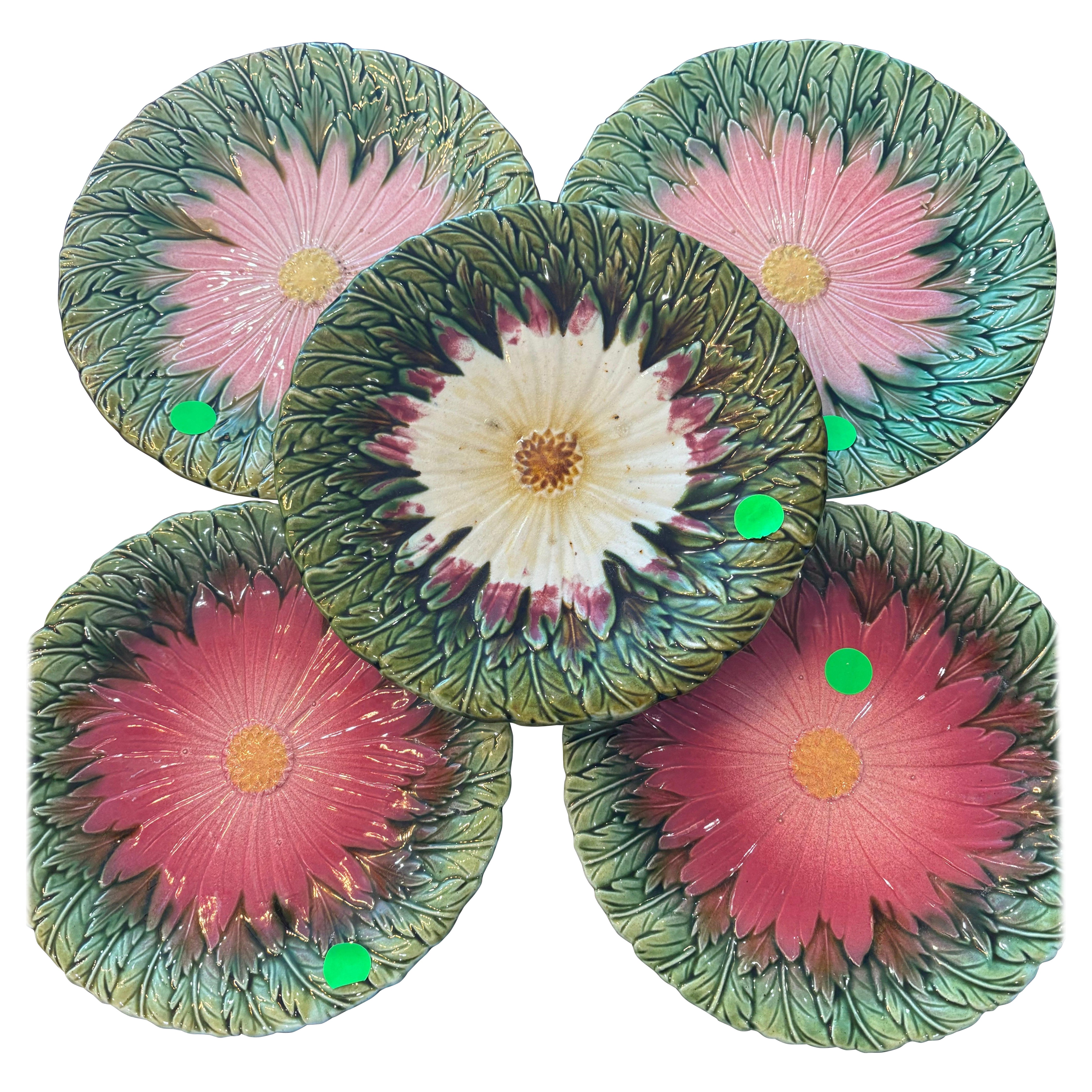 Set og French Majolica Daisy Plate Orchies, circa 1890