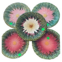 Set og French Majolica Daisy Plate Orchies, circa 1890