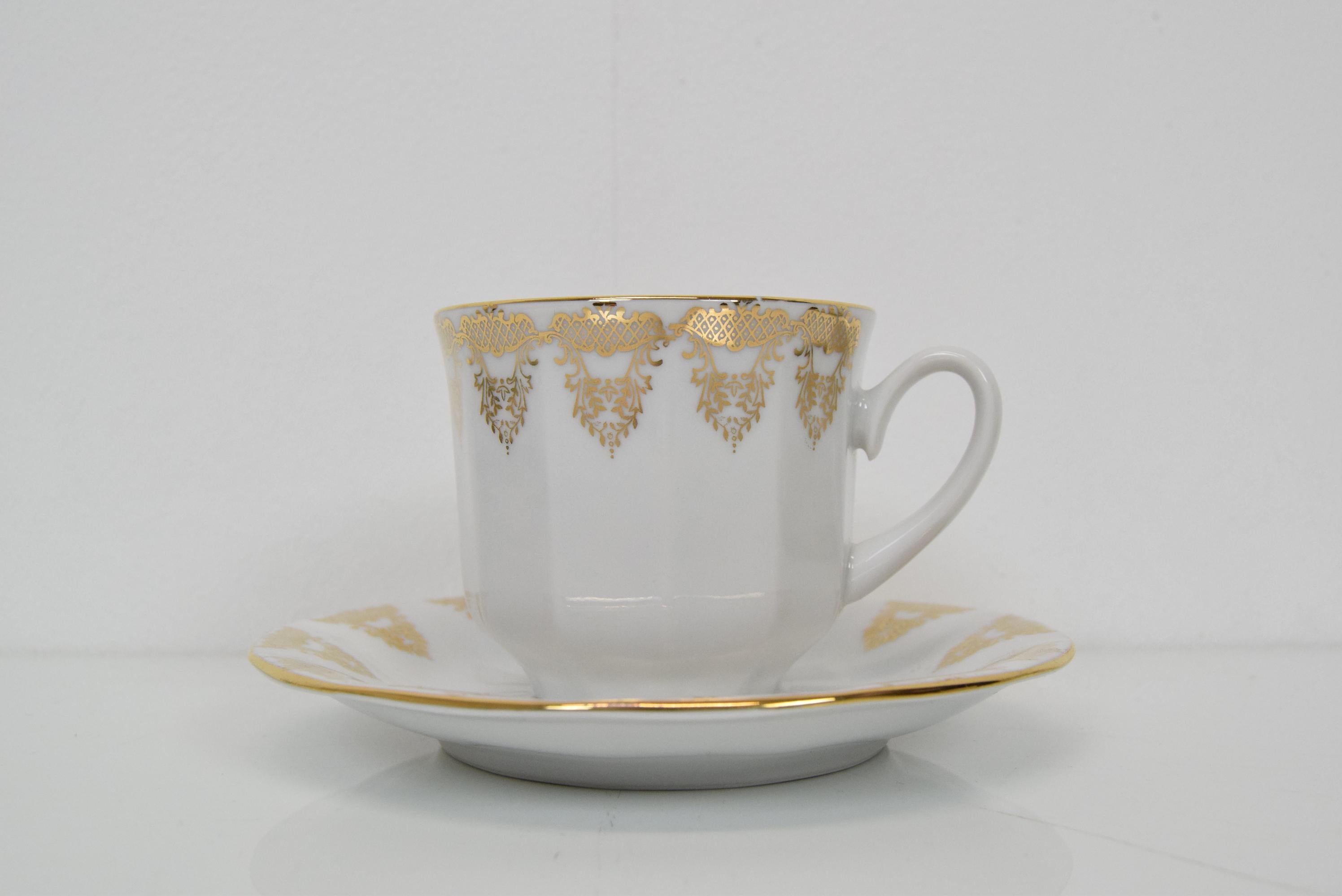 Set Porcelain for Tea or Coffee, Carlsbad Porcealin by Company Epiag D.F For Sale 11