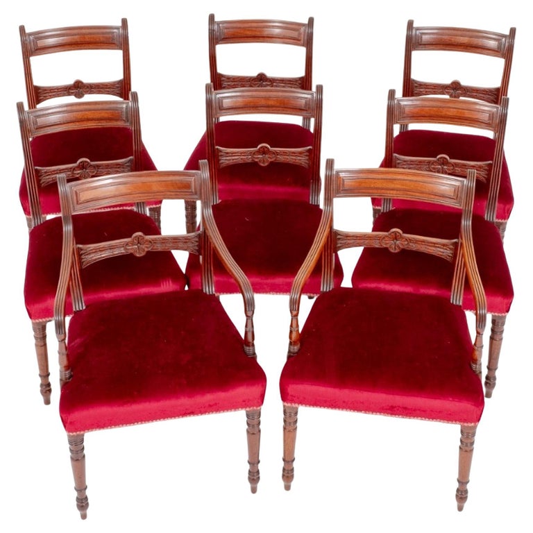 Set Regency Dining Chairs Mahogany Antique For Sale at 1stDibs