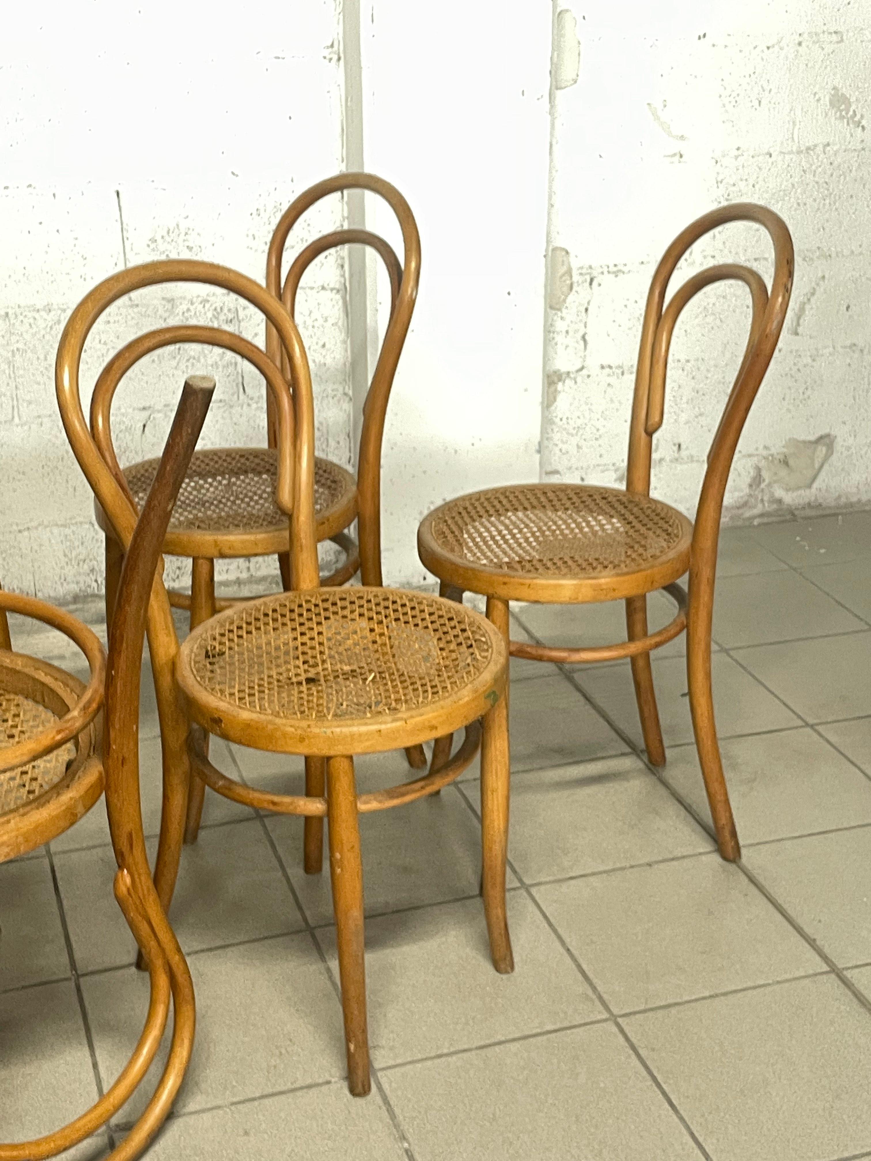 Set sedie prima metà del '900 marchiate JOSIAS EISSLER & SOHNE WIEN in vendita 10