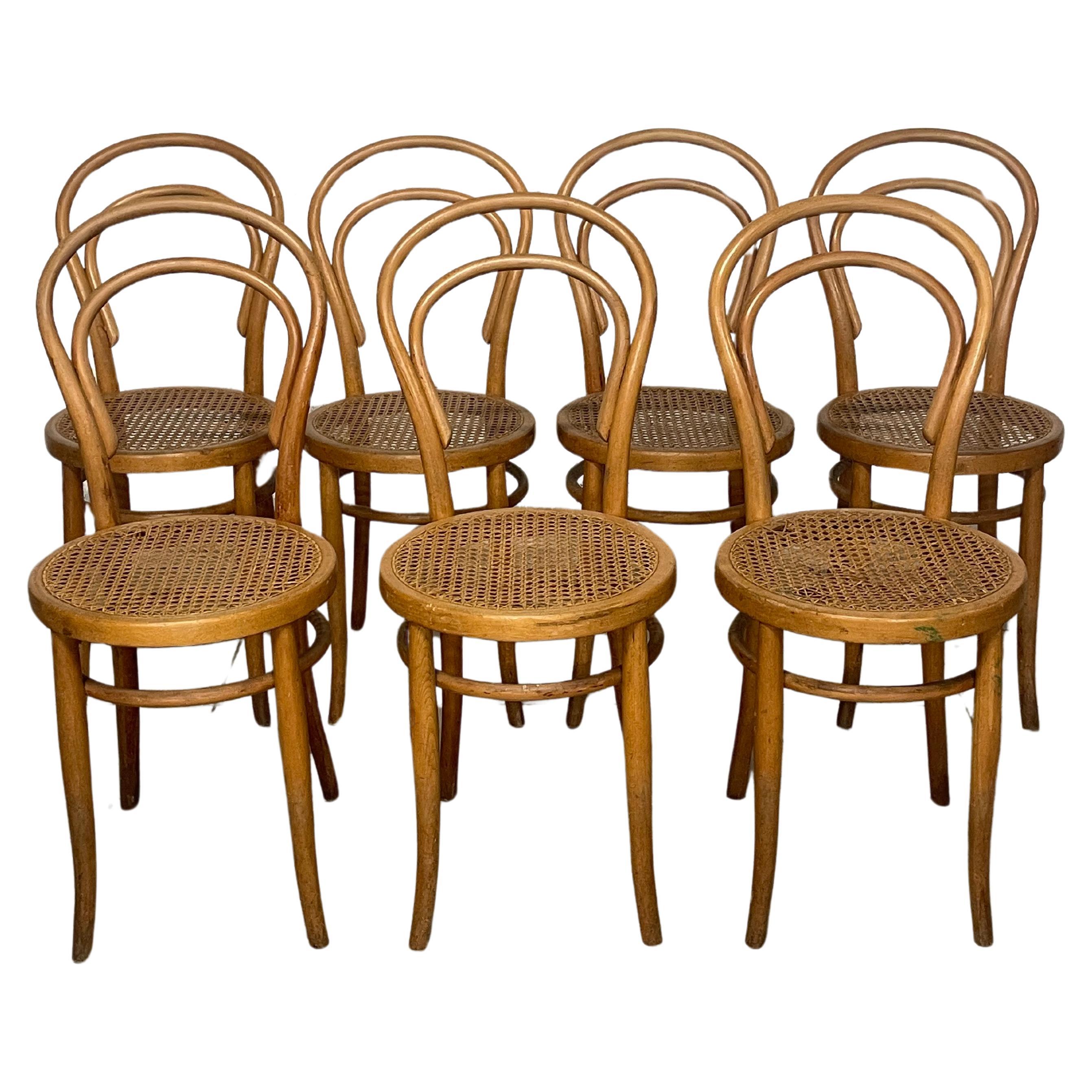 Set of chairs first half of the 20th century marked JOSIAS EISSLER & SOHNE WIEN
