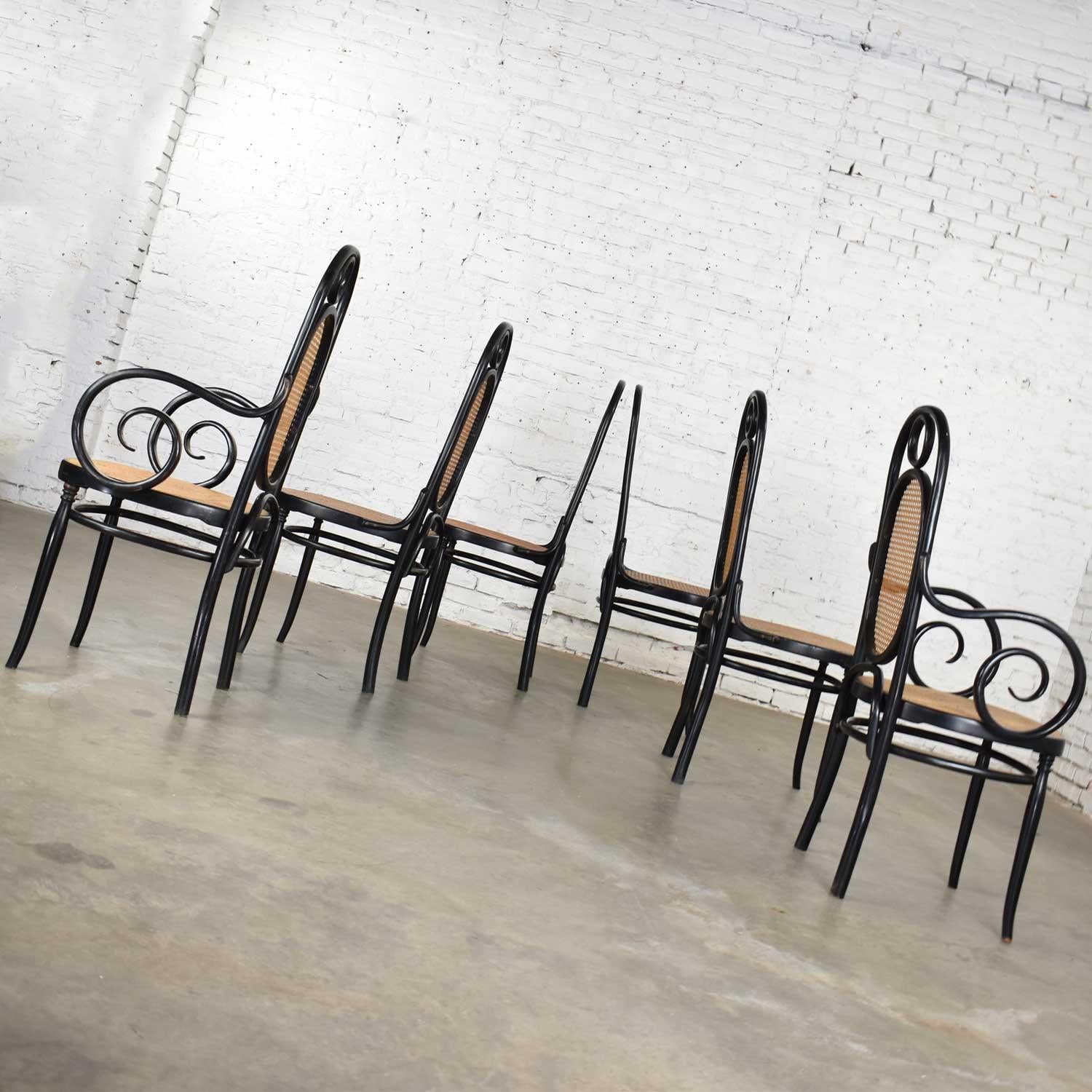 Cane Set Six #17 Thonet Style Black & Natural Tall Bentwood Chairs by Salvatore Leone