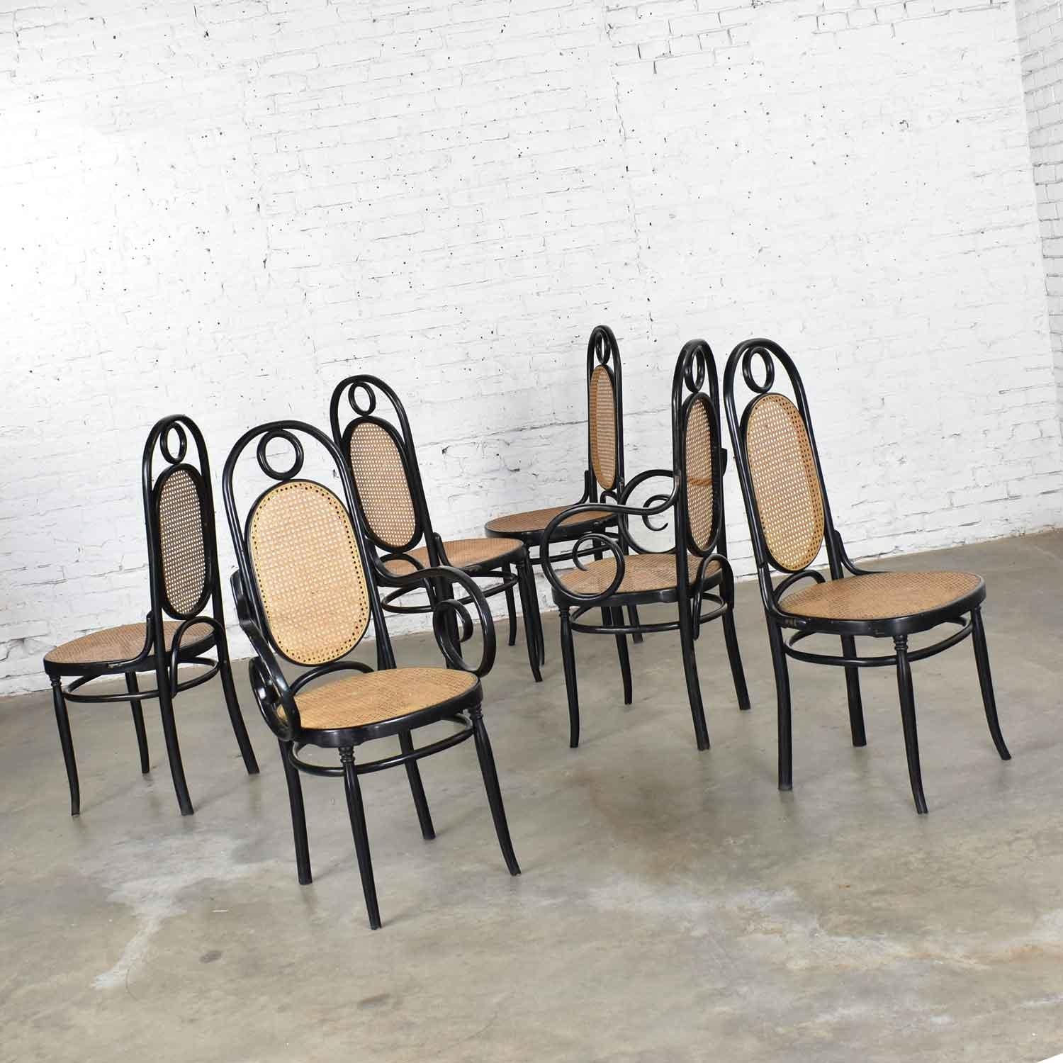 Set Six #17 Thonet Style Black & Natural Tall Bentwood Chairs by Salvatore Leone 1