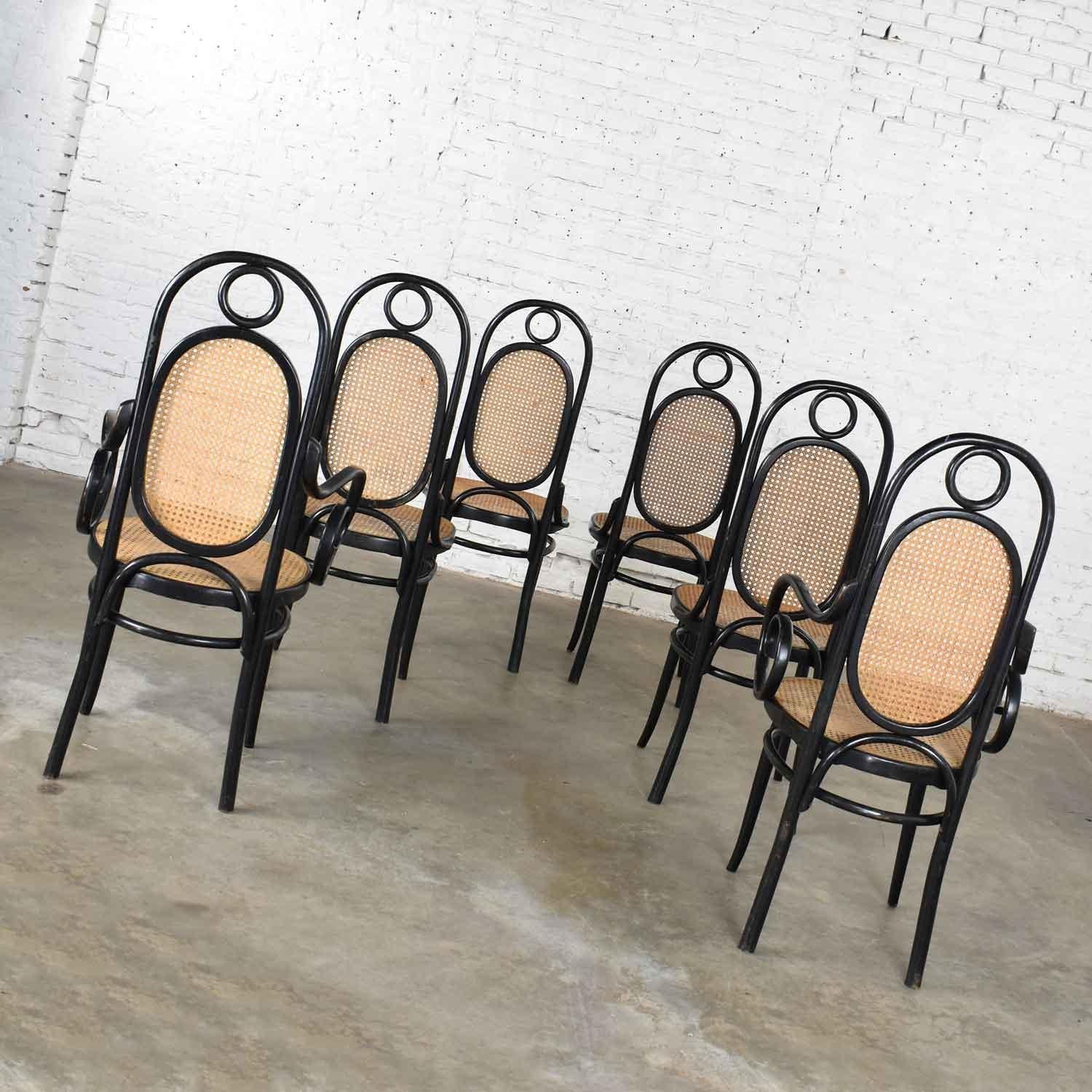Set Six #17 Thonet Style Black & Natural Tall Bentwood Chairs by Salvatore Leone 2