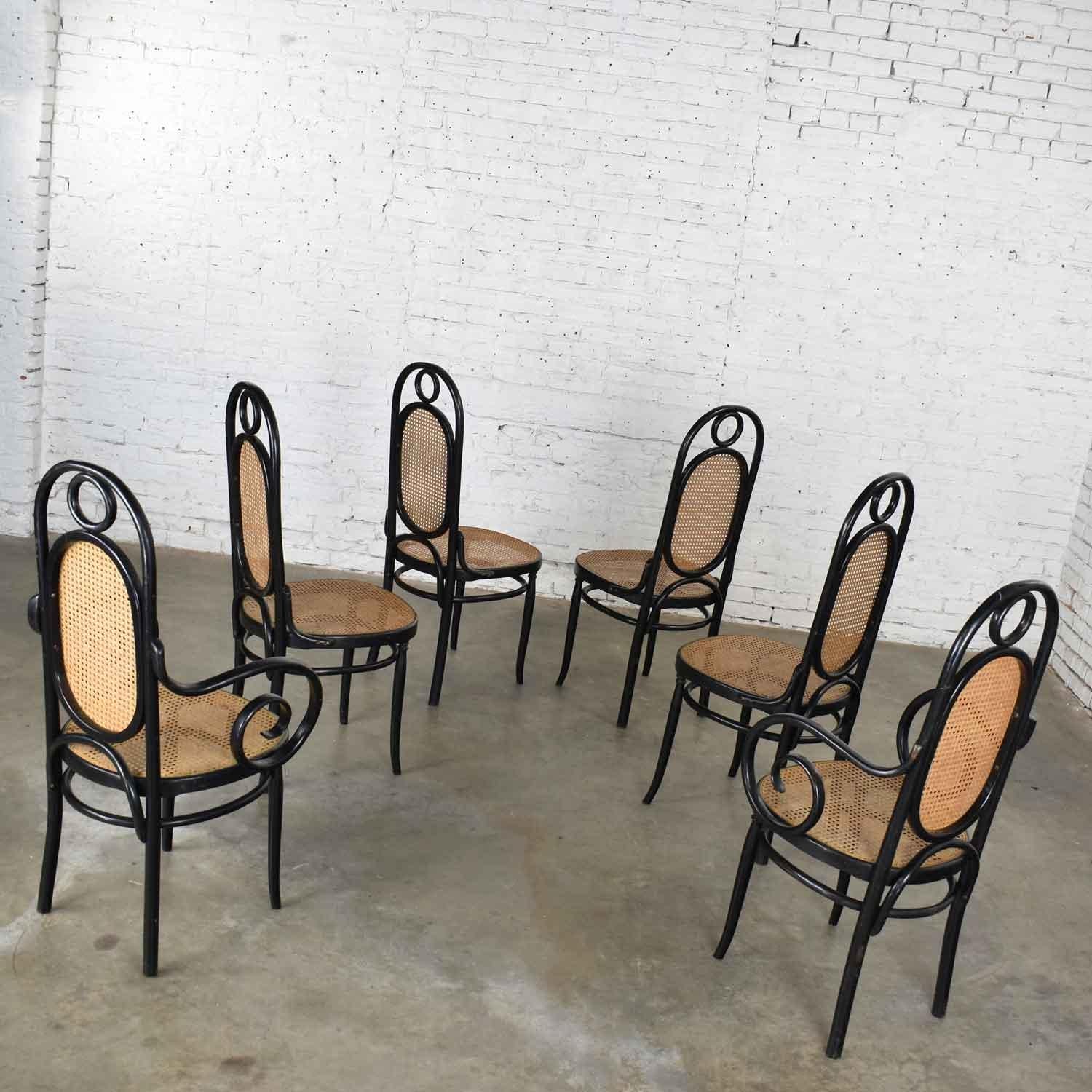 Set Six #17 Thonet Style Black & Natural Tall Bentwood Chairs by Salvatore Leone 3