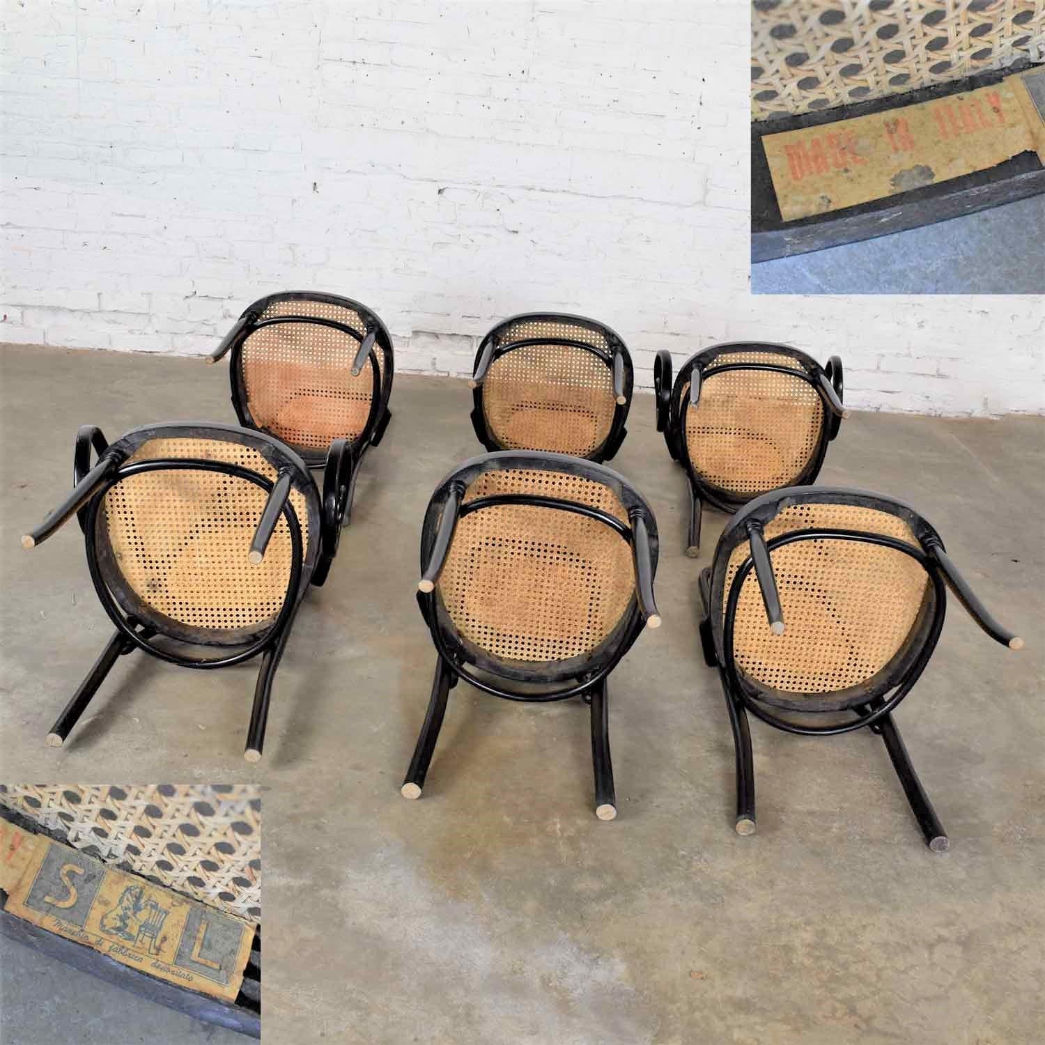 Set Six #17 Thonet Style Black & Natural Tall Bentwood Chairs by Salvatore Leone 4