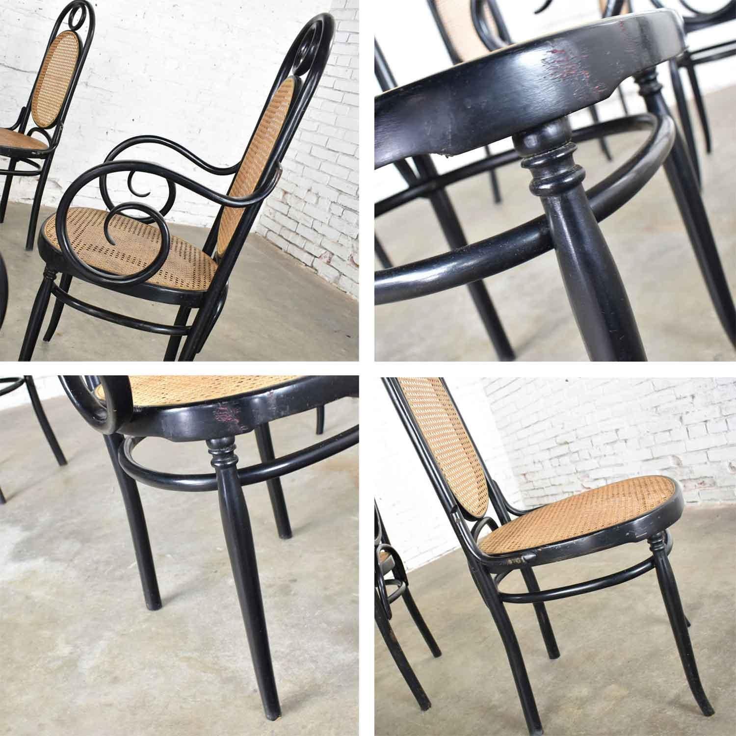 Set Six #17 Thonet Style Black & Natural Tall Bentwood Chairs by Salvatore Leone 5