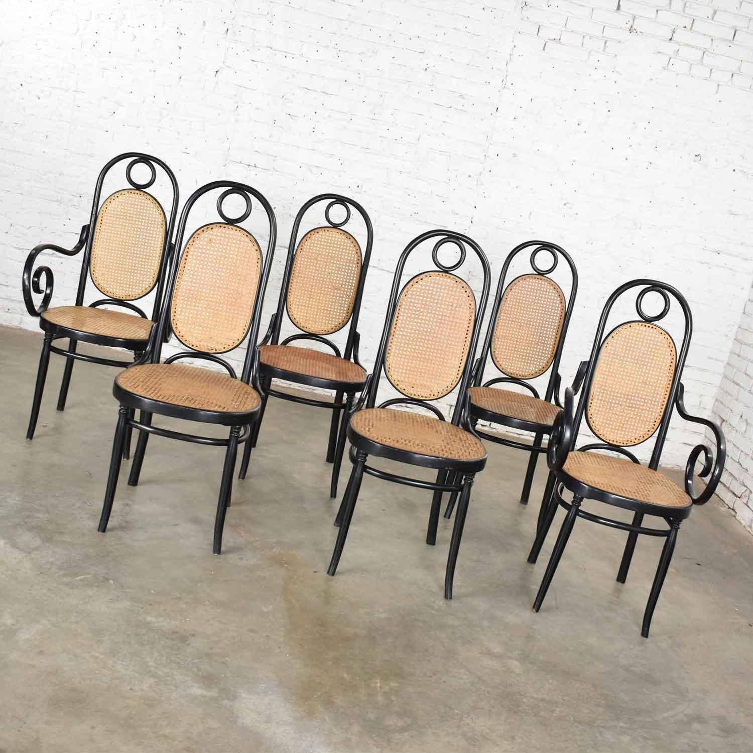 bentwood style chairs