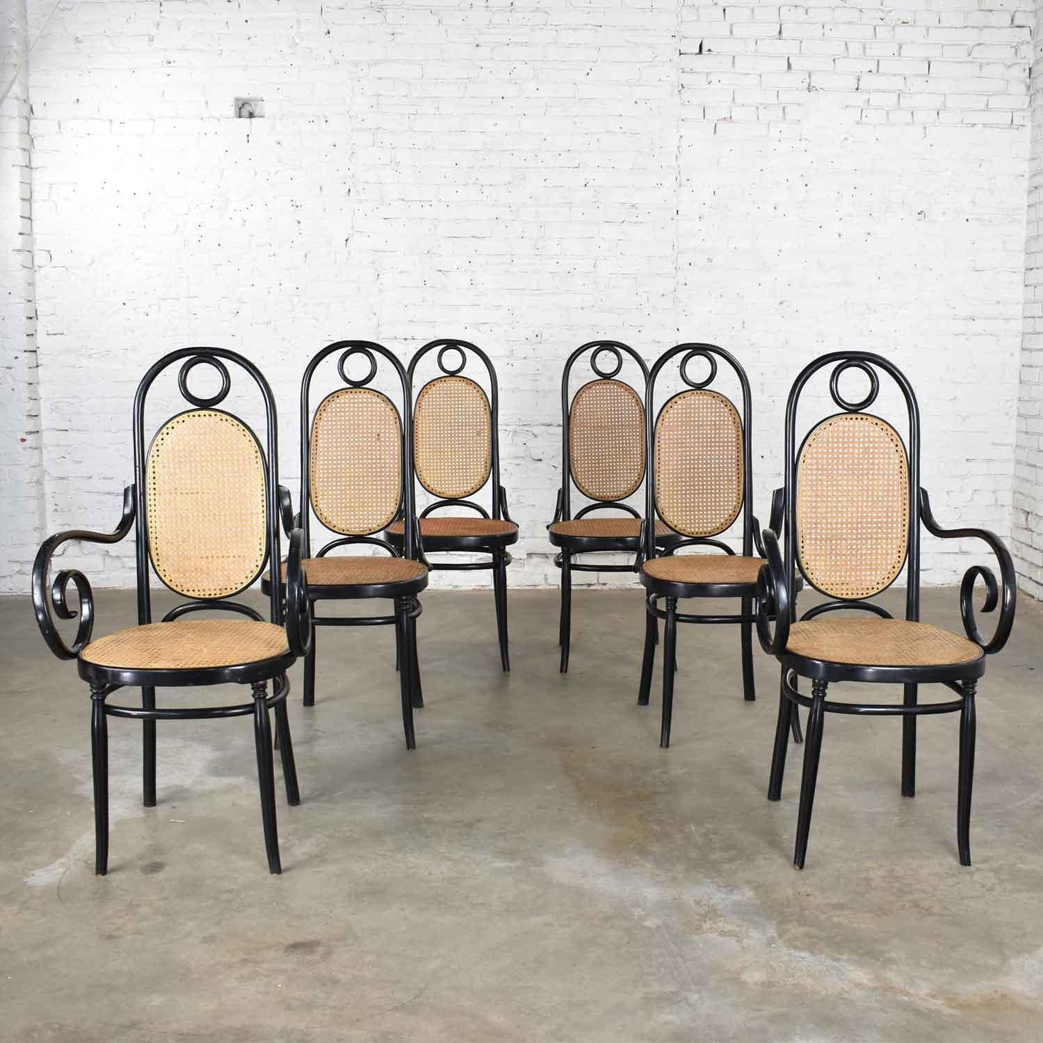 Bauhaus Set Six #17 Thonet Style Black & Natural Tall Bentwood Chairs by Salvatore Leone