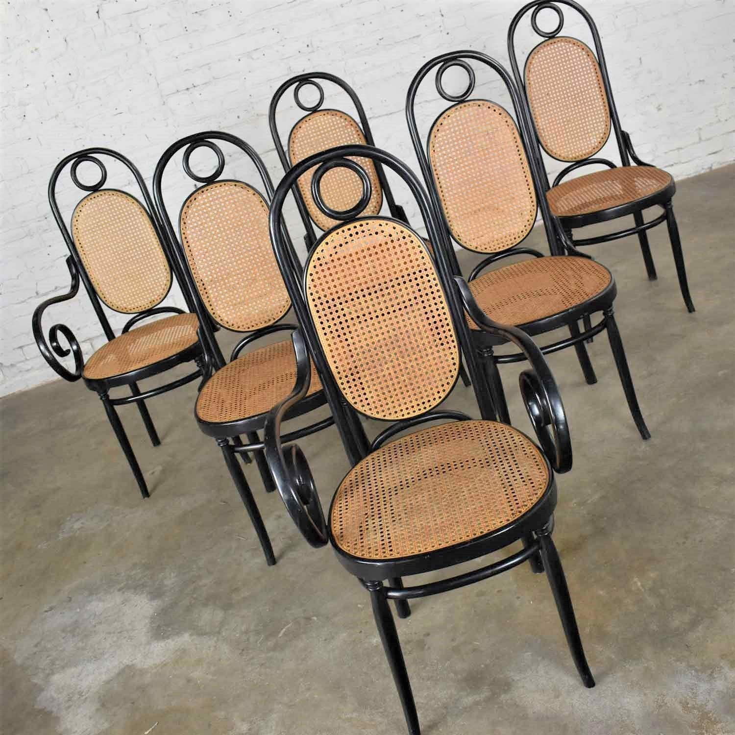 Italian Set Six #17 Thonet Style Black & Natural Tall Bentwood Chairs by Salvatore Leone