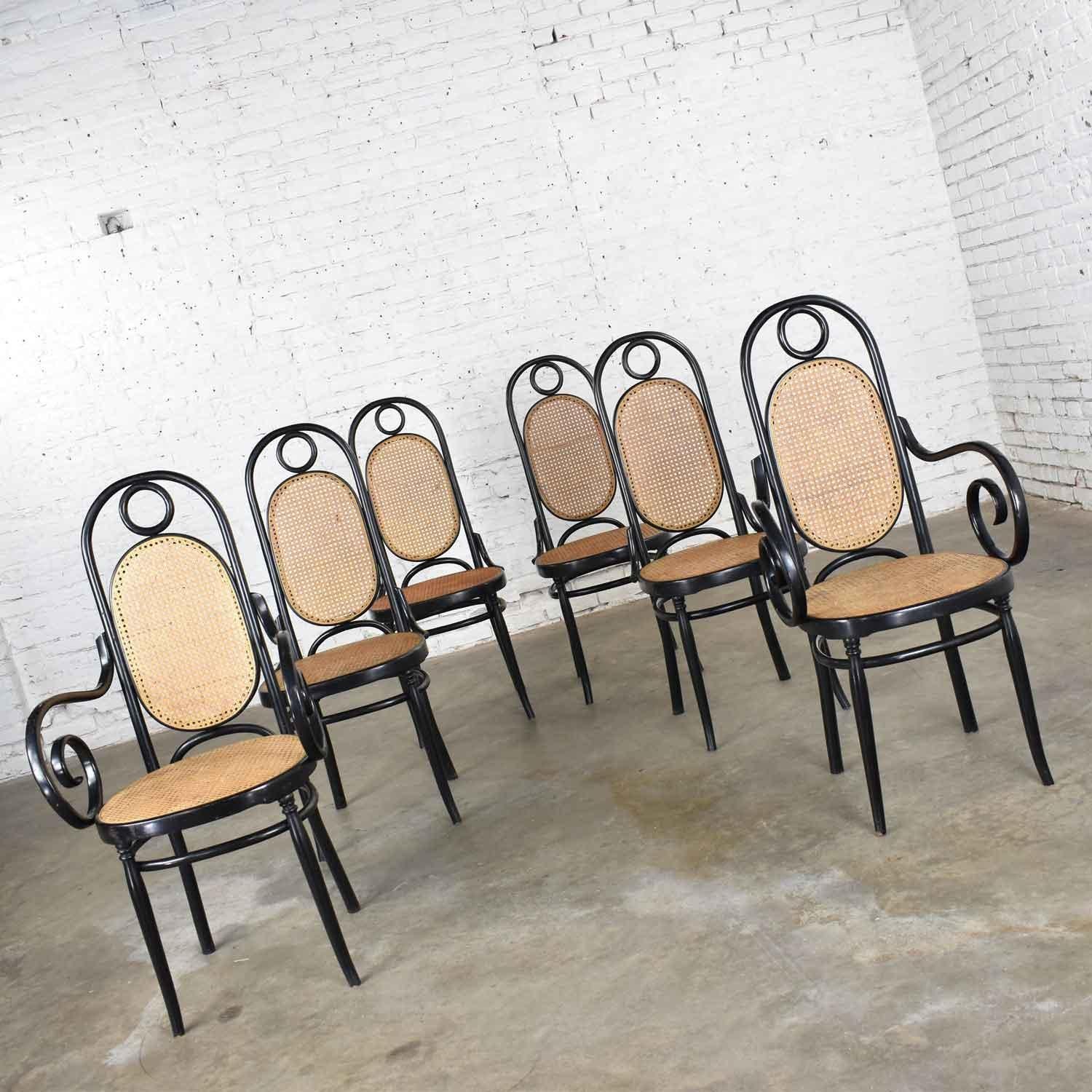 Set Six #17 Thonet Style Black & Natural Tall Bentwood Chairs by Salvatore Leone In Good Condition In Topeka, KS