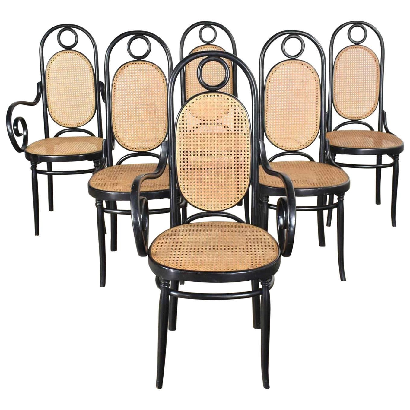 Set Six #17 Thonet Style Black & Natural Tall Bentwood Chairs by Salvatore Leone