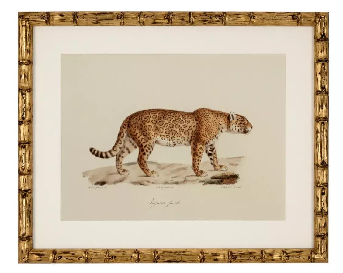 Superb set of six Lion, Tiger and Jaguar Framed and Glazed Prints. A beautiful accessory for the modern home, each mounted in a bamboo look frame with a distressed gold finish for a timeless touch. Placed together or apart, each animal depiction is