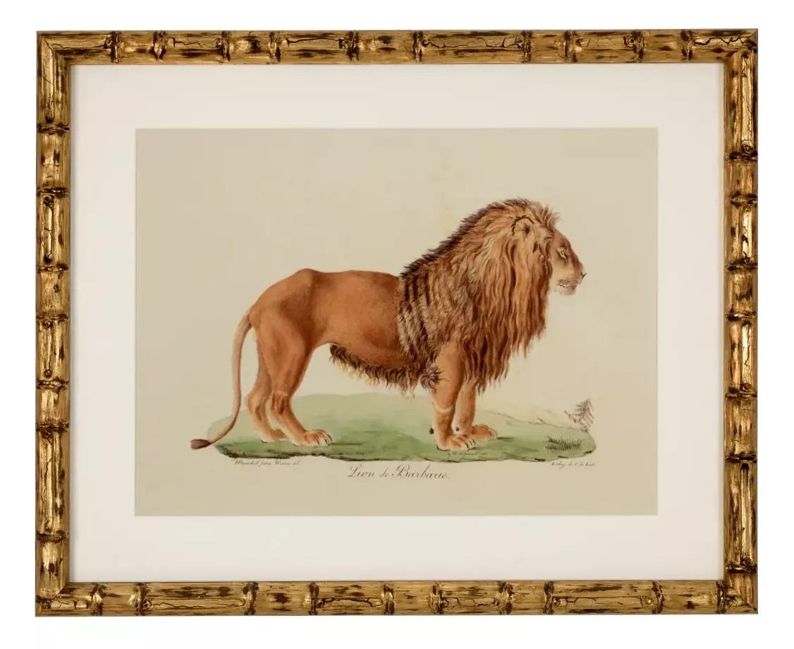 Paper Set Six Gilt Framed Animal Prints Big Cat Tiger Jaguar Lion Bamboo Frames For Sale