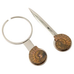 Set Scrivania con Lente di Ingrandimento e Tagliacarte – Fossili di Ammonite