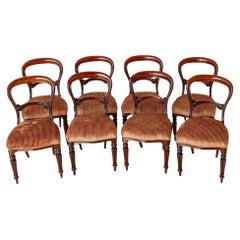 Antique Set Victorian Balloon Back Dining Chairs Mahogany 1850